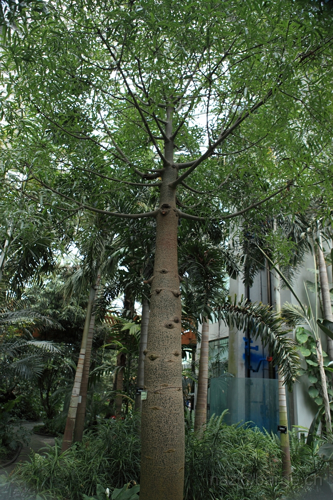 EOS 5D Mark II16_04_20134972.JPG